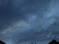 20230805214429 IMG 0718