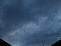 20230805214432 IMG 0719