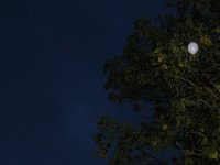 20230805214524 IMG 0724